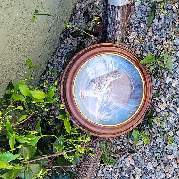 Vintage 1989 The White Gyrafalcon Collectible Plate Wood Round Frame - Picture 2 of 8